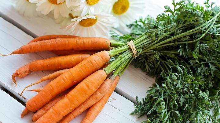 Как сохранить морковь в квартире?