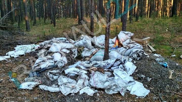 В барнаульском бору у «Трассы здоровья» обнаружили свалку с подсолнечным жмыхом Фото №1