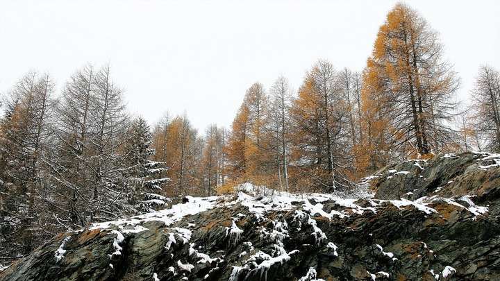 Резкое похолодание и мокрый снег ждут Алтайский край на выходных Фото №1
