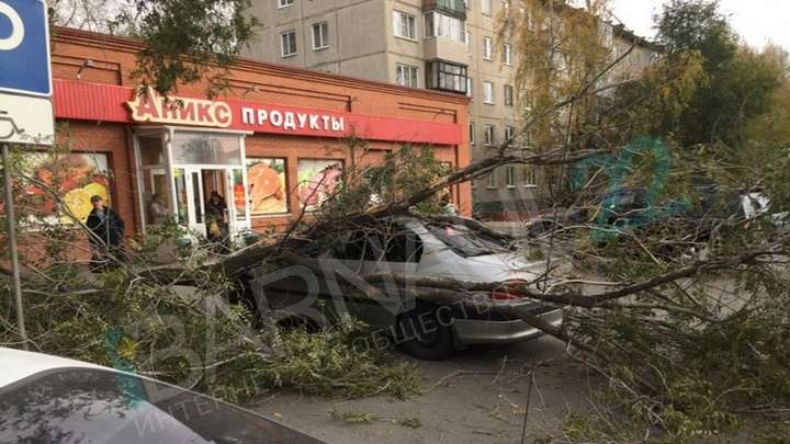 Какие разрушения оставил после себя шторм 13 и 14 октября в Барнауле Фото №1