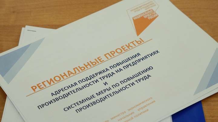 В правительстве Алтайского края обсудили реализацию нацпроектов Фото №1