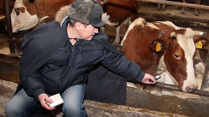 Запоминающиеся истории и курьезы из командировок и жизни редакции Фото №2