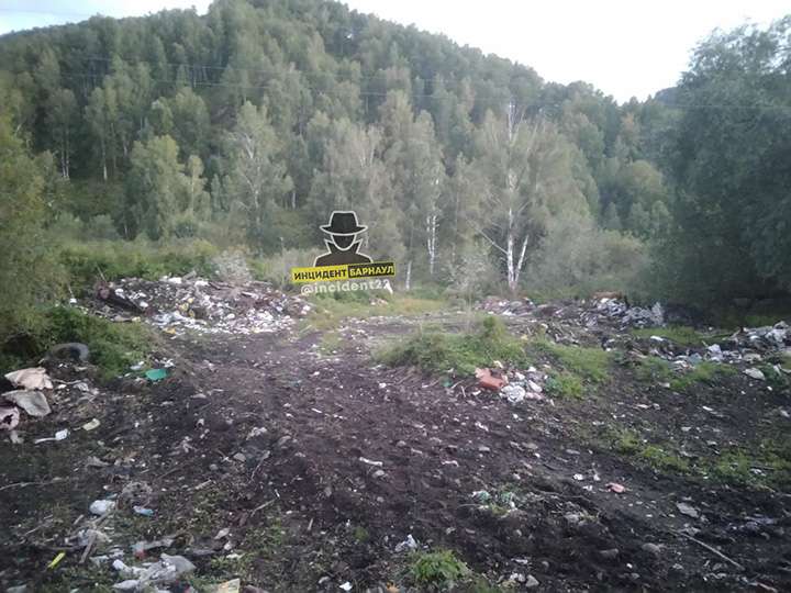 На природе в горах Алтая нашли огромные груды мусора Фото №2
