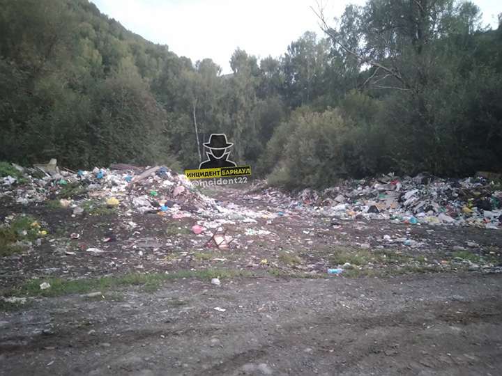 На природе в горах Алтая нашли огромные груды мусора Фото №4