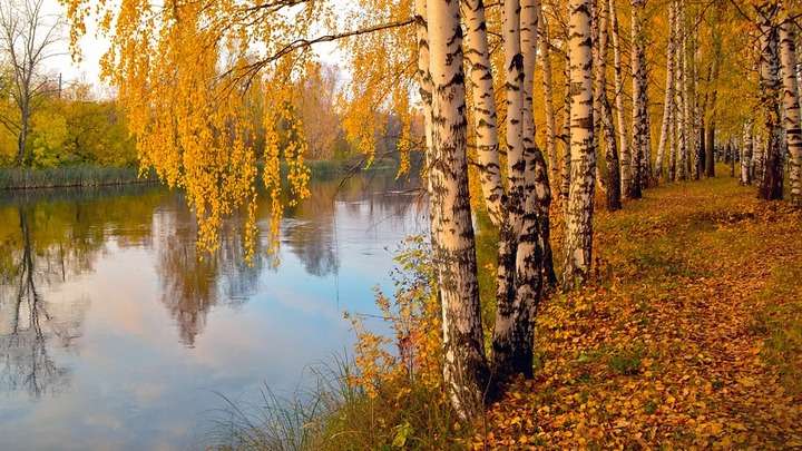 В Минприроды края разъяснили причины очереди за разрешениями на охоту Фото №1