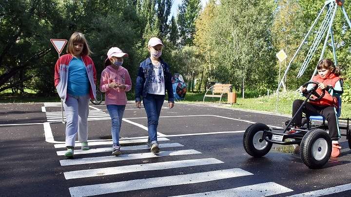 Алейские автоинспекторы провели акцию «Умный пешеход» Фото №1