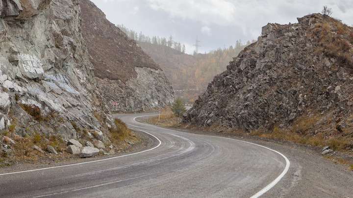 На Алтай приедет ведущая «Всё как у зверей» Фото №1