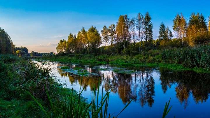 Публикуем гороскоп на неделю с 5 по 11 сентября Фото №1