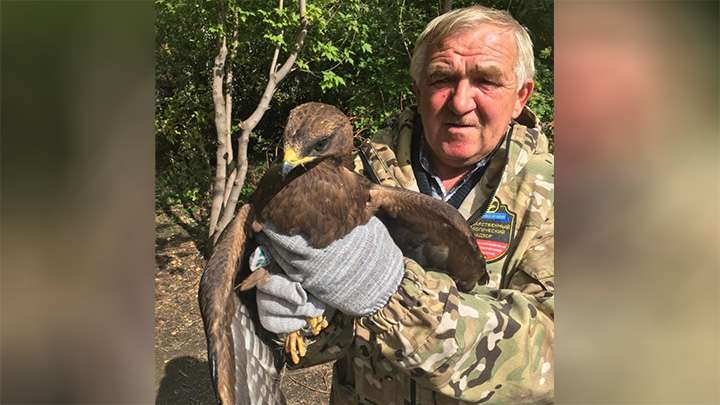 Необычную редкую птицу встретила жительница Алтайского края у себя дома Фото №1