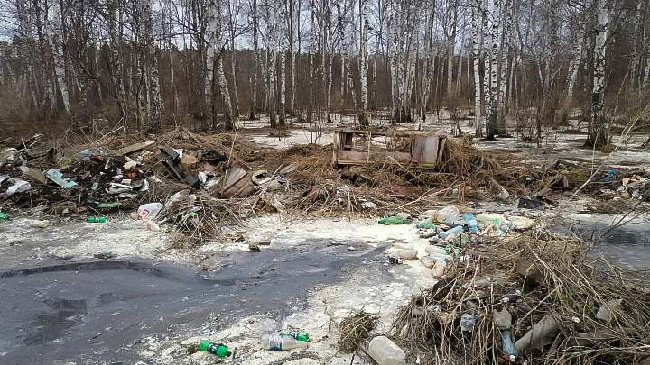 СК возбудил уголовное дело из-за загрязнения кишечной палочкой земли в Алтайском крае Фото №1