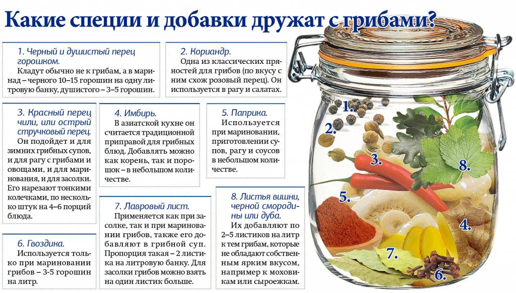 Что можно приготовить из опят: рецепты, идеи, советы | Сайт о грибах