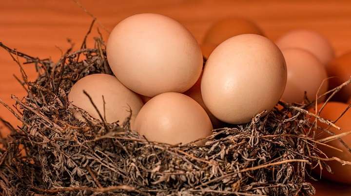 Названы продукты, которые улучшают сон Фото №1