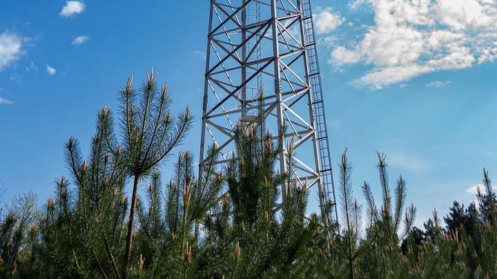 Бийчанка в своем блоге борется с вышками 5G Фото №1