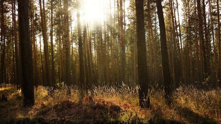 Что можно, а что нельзя делать 25 сентября Фото №1