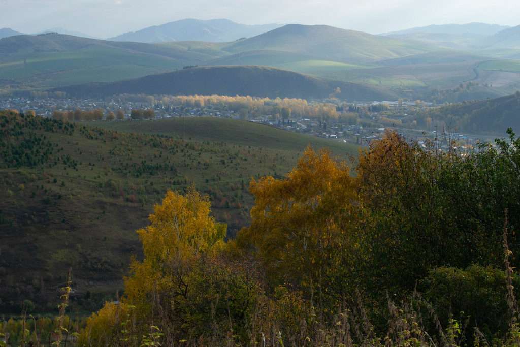 Такую осень вы еще не видели. Оцените золото и пурпур в предгорьях Алтая Фото №4