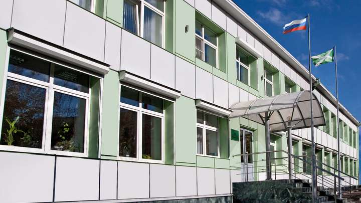 Организации Алтайского края стали чаще нарушать сроки представления отчетности в таможню Фото №1