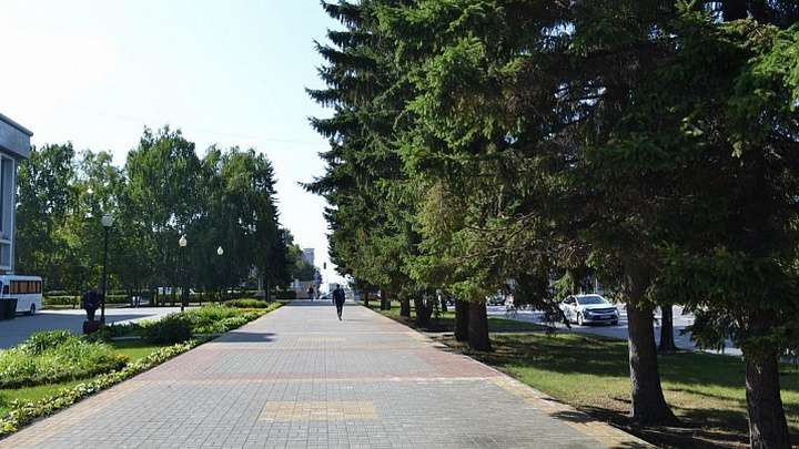 В Барнауле начнется голосование по выбору общественных территорий для благоустройства Фото №1