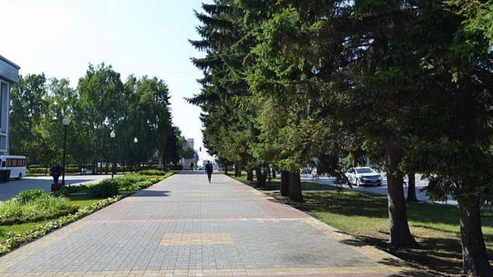 В Барнауле началось голосование за благоустройство территорий Фото №1