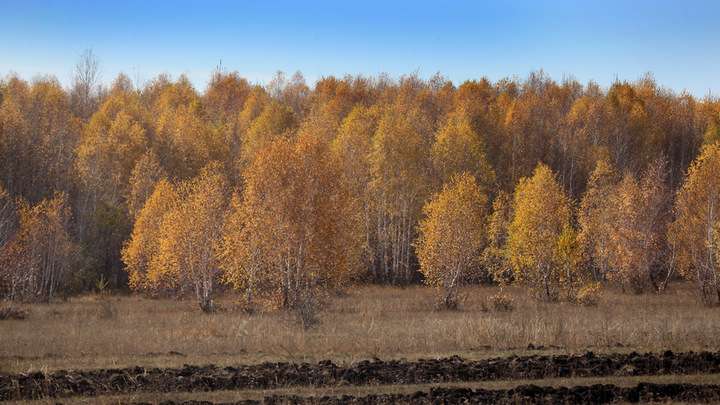 Потепление до +19 градусов пришло в Алтайский край Фото №1