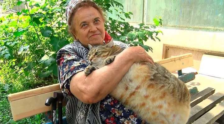 Толстого кота из Бийска посадили на диету Фото №1