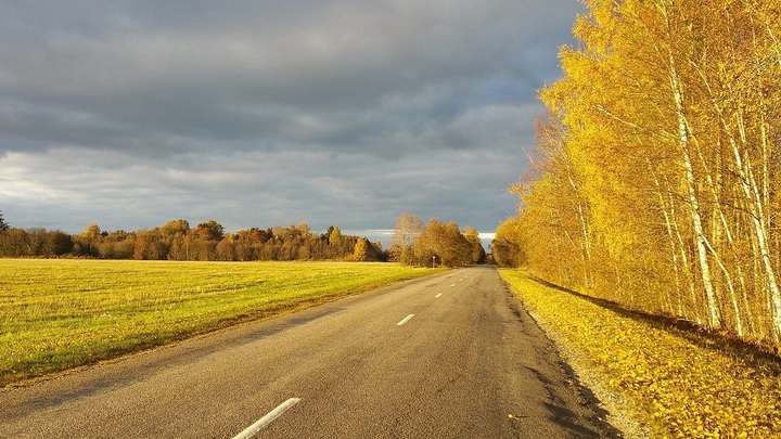 Алтайскую трассу перекроют вечером 5 ноября Фото №1
