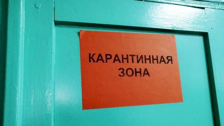 219 человек заболели коронавирусом в Алтайском крае за сутки, 12 умерли Фото №1