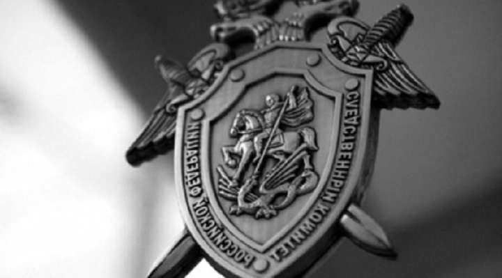 СК начал проверку по факту массовой драки в Бийске Фото №1