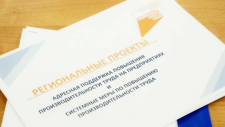 О национальном проекте и его реализации в 2020 году Фото №1