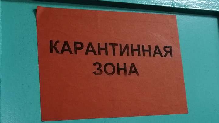 Еще 14 пациентов с коронавирусом умерли в Алтайском крае Фото №1