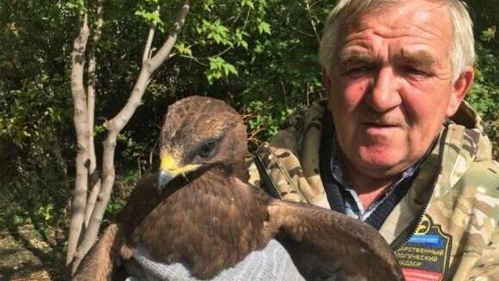 Краснокнижную птицу обнаружила жительница Алтайского края у себя за огородом Фото №1