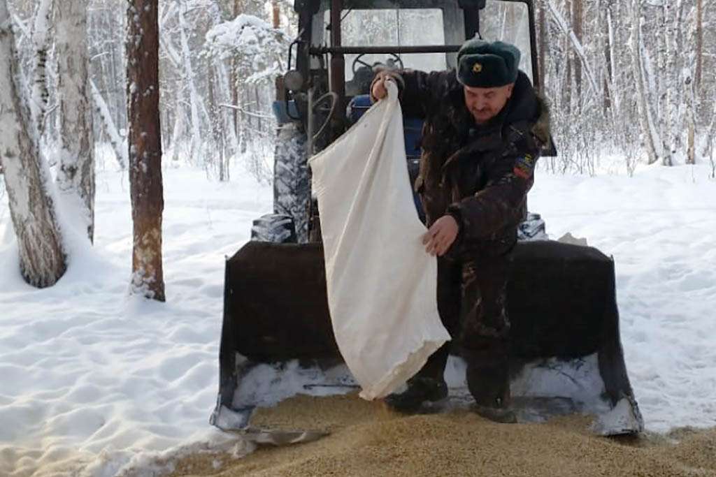 Этой зимой диким животным и птицам в Алтайском крае приходится нелегко Фото №2