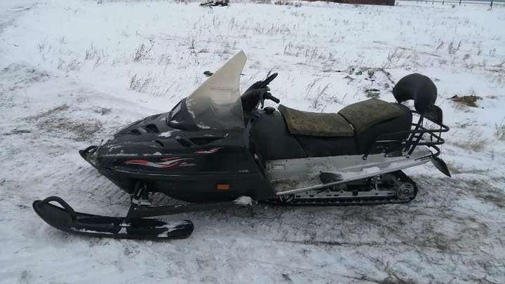 Алтайские браконьеры нанесли полумиллионный ущерб убийством пяти косуль Фото №1