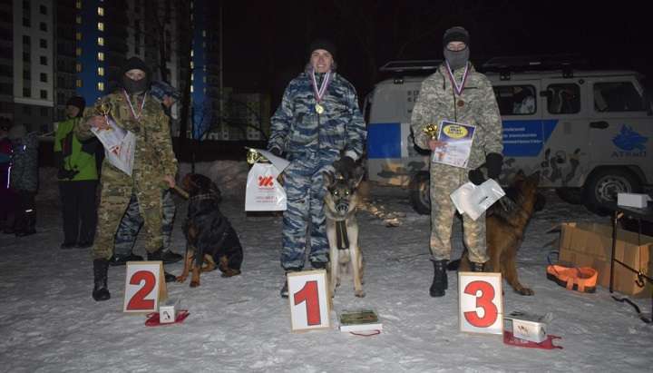 Более 300 барнаульцев посетили ночную гонку с собаками Фото №1