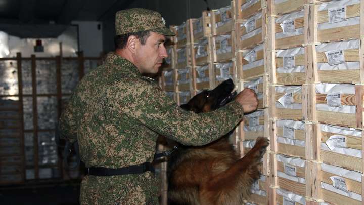 Какую контрабанду обнаружили служебные собаки за год на алтайской таможне Фото №1