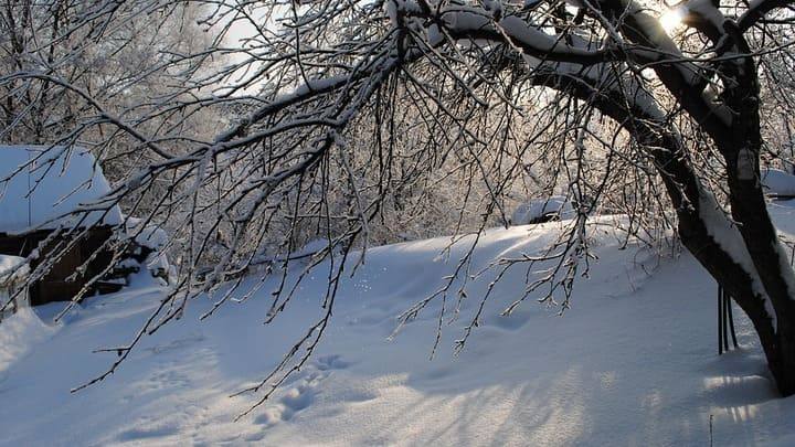 Метели и мокрый снег ожидаются 17 февраля в Алтайском крае Фото №1