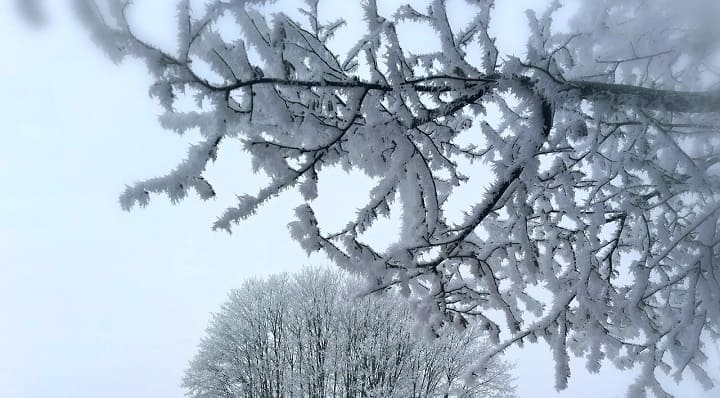 23 февраля в Алтайском крае будет морозно, ветрено и скользко Фото №1