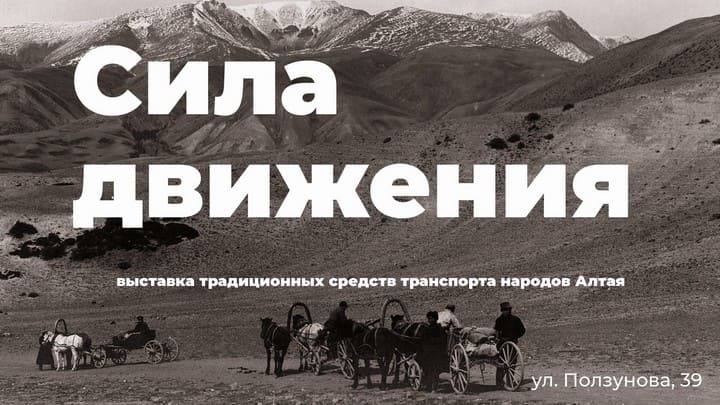 Сани, на которых в 1928 году по Барнаулу возили Сталина, выставили в музее Фото №1