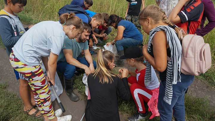 Алтайские школьники возрождают кедровые леса на Салаирском кряже Фото №2
