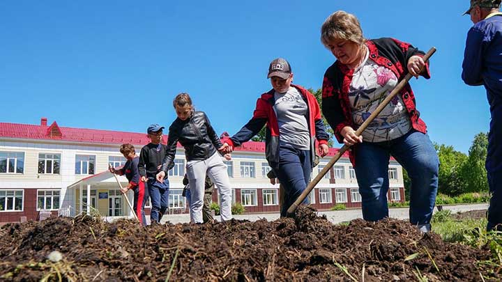 Алтайские школьники возрождают кедровые леса на Салаирском кряже Фото №1