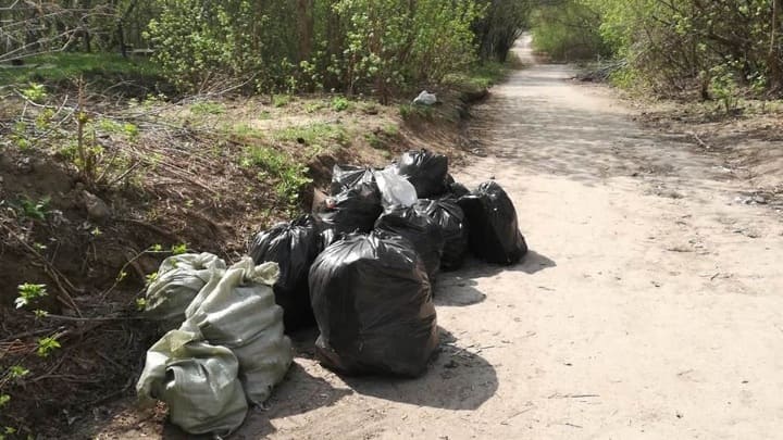 Барнаульцы смогут выбрать места для благоустройства на 2022 год Фото №1