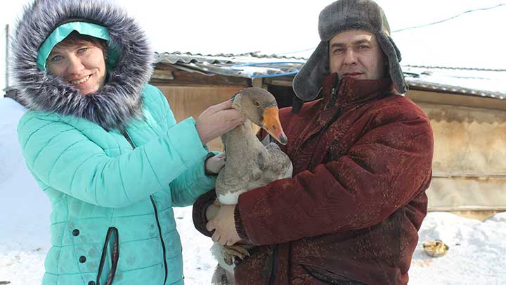 Для многих семей подворье является основным, а иногда единственным источником дохода Фото №1