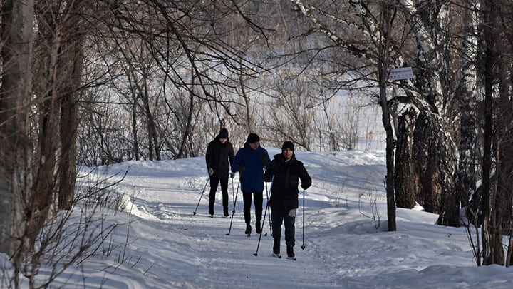 Первое заседание совета парка «Юбилейный» прошло в Барнауле Фото №1