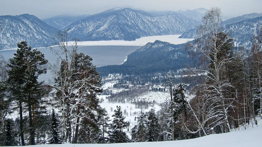 На Алтае фотоловушка сняла, как «целуются» две кабарги Фото №3