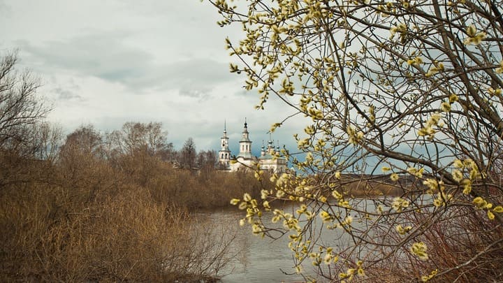 Когда Вербное воскресенье в 2021 году Фото №1