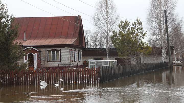 В Рубцовске готовятся к предстоящему половодью Фото №1