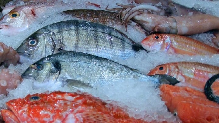 Житель Барнаула украл из морозильной камеры гигантского кальмара Фото №1