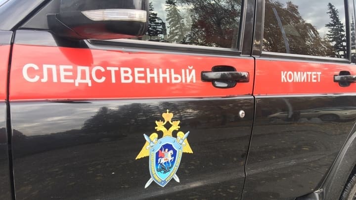Суд вынес приговор пьяному водителю за смерть ребенка в Алтайском крае Фото №1
