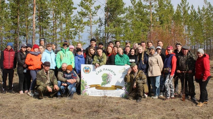 Свыше полумиллиона деревьев высадят в Алтайском крае в рамках акции «Сад памяти» Фото №1