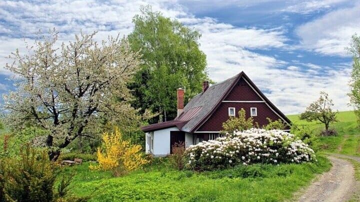 Спрос на аренду загородной недвижимости в Алтайском крае вырос в 1,7 раза Фото №1