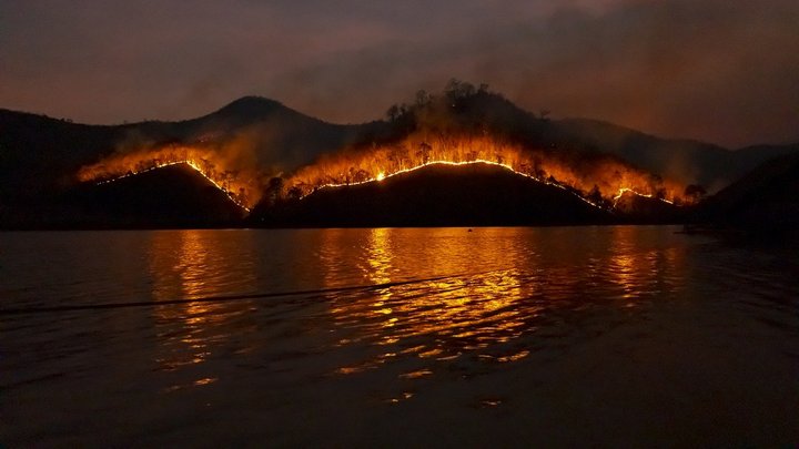Чрезвычайную пожароопасность объявили в Алтайском крае на 7-11 мая Фото №1
